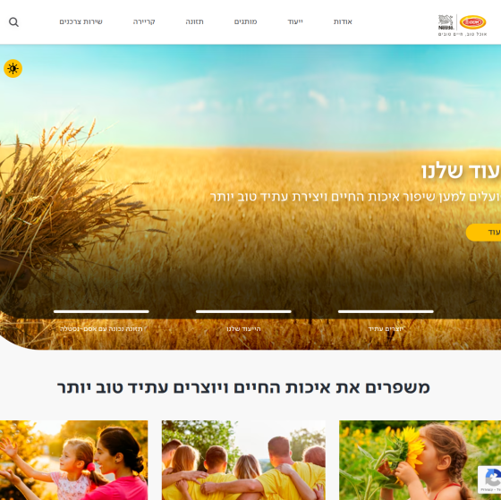 Golden wheat field with blue sky and sunlight.